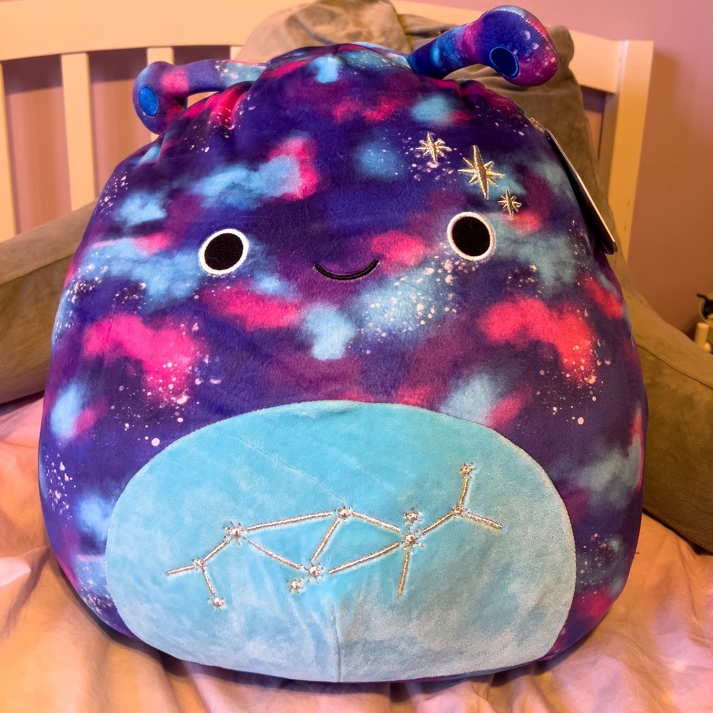 16” Piaxa Squishmallow.
